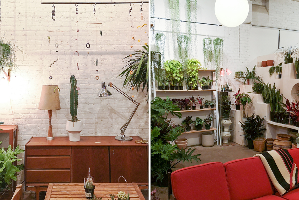 Urban Jungle Bloggers in NYC #urbanjunglebloggers #hotspot #nyc