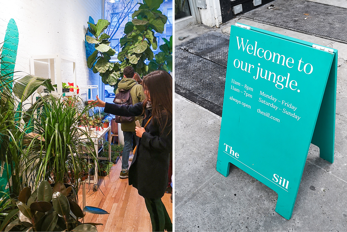 Urban Jungle Bloggers in NYC #urbanjunglebloggers #hotspot #nyc