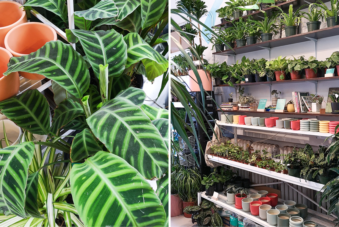 Urban Jungle Bloggers in NYC #urbanjunglebloggers #hotspot #nyc