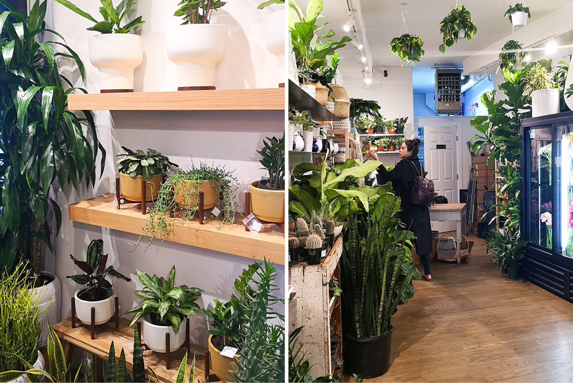 Urban Jungle Bloggers in NYC #urbanjunglebloggers #hotspot #nyc