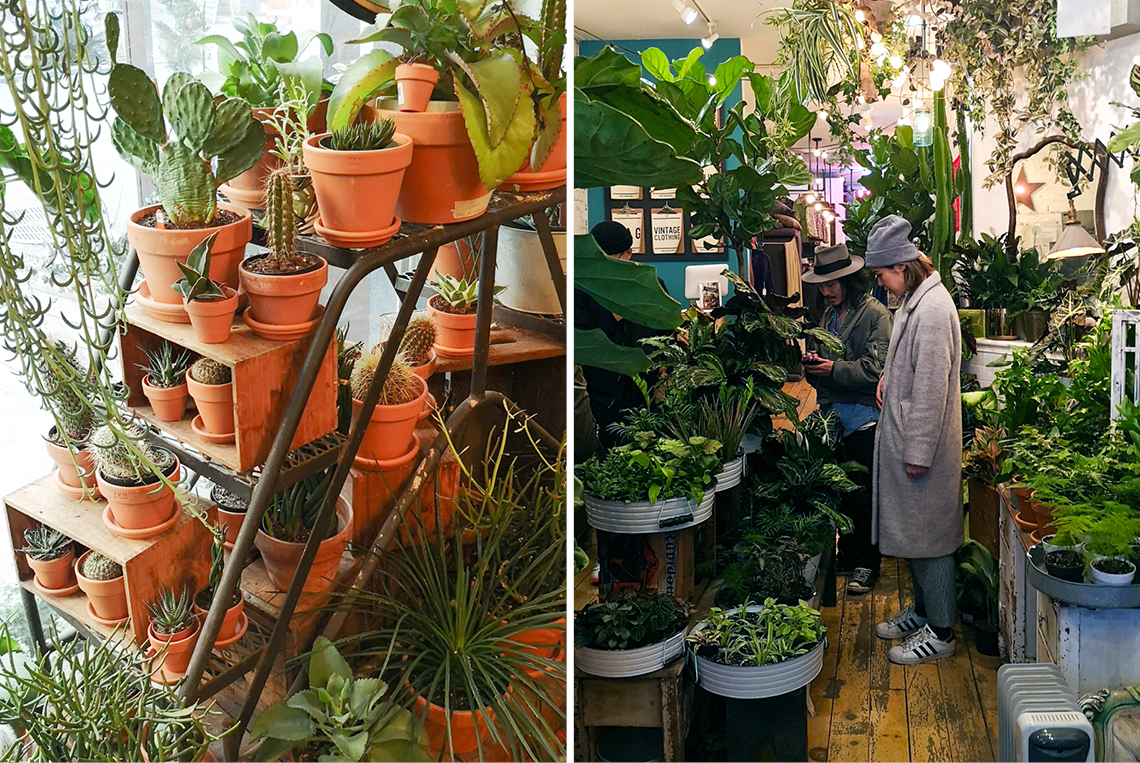 Urban Jungle Bloggers in NYC #urbanjunglebloggers #hotspot #nyc