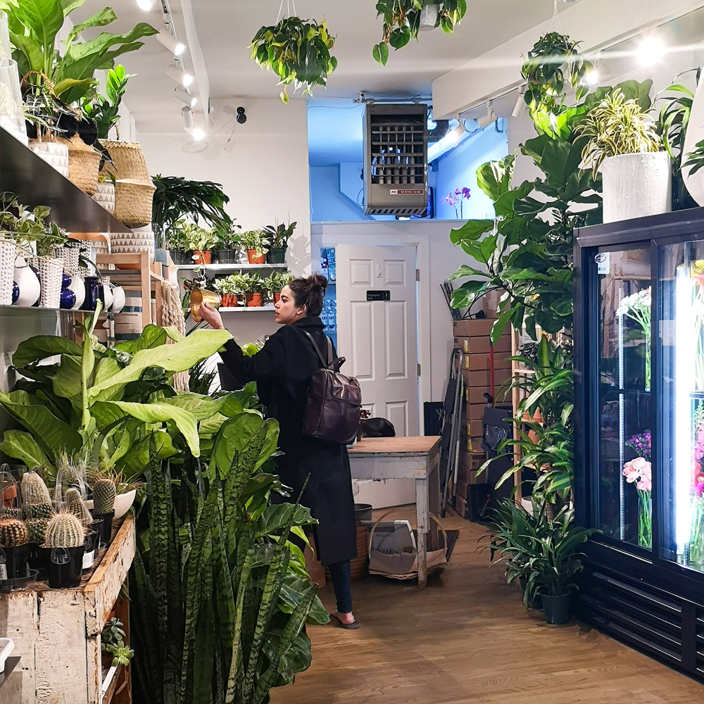Urban Jungle Bloggers in NYC #urbanjunglebloggers #hotspot #nyc