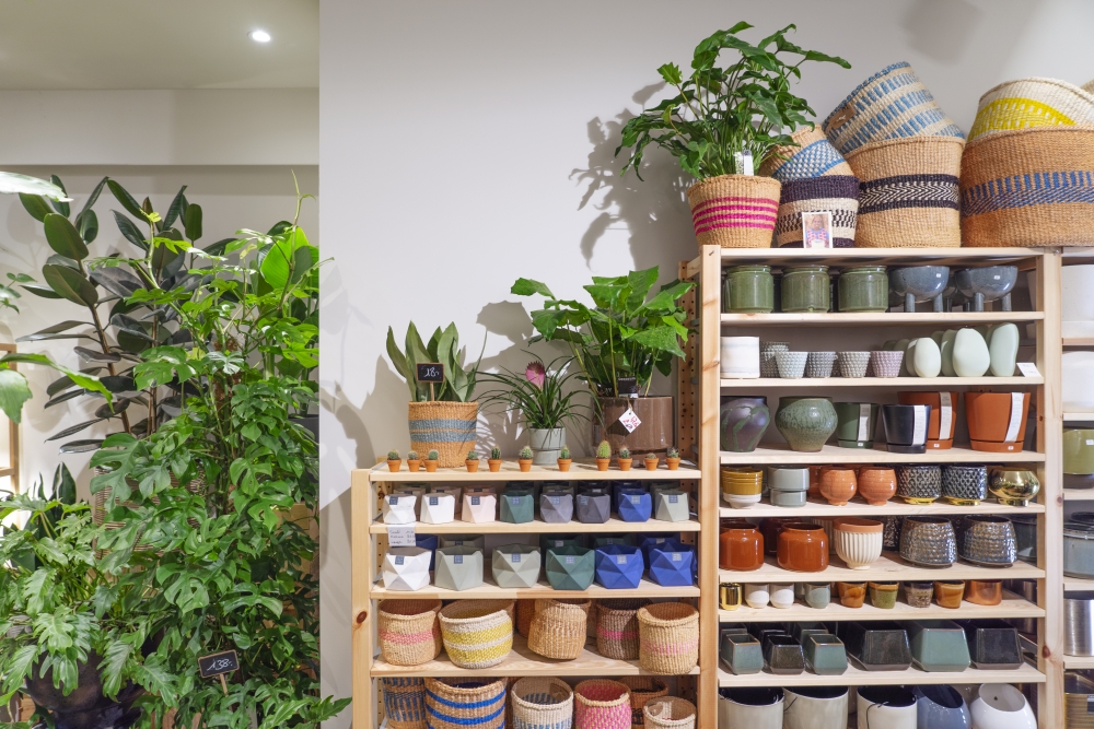 Urban Jungle Bloggers - Little Green Stories plant shop Ghent #urbanjunglebloggers #plantshop