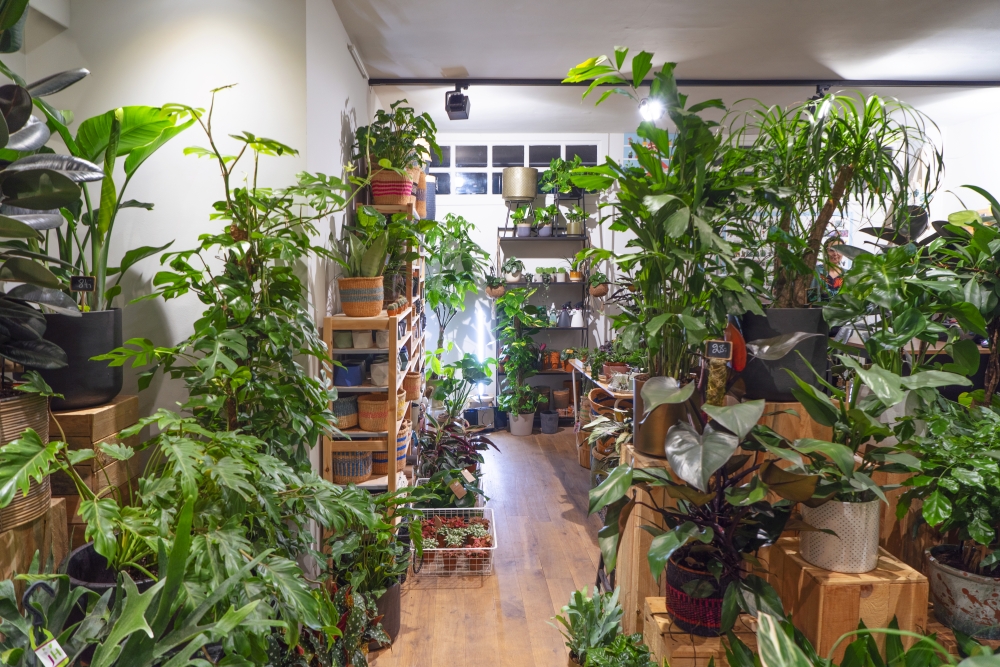 Urban Jungle Bloggers - Little Green Stories plant shop Ghent #urbanjunglebloggers #plantshop