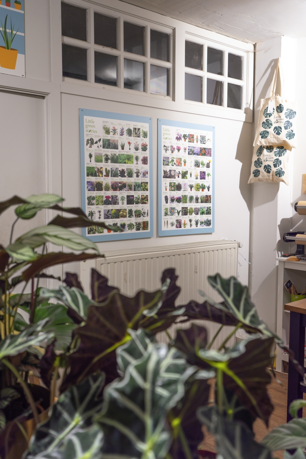 Urban Jungle Bloggers - Little Green Stories plant shop Ghent #urbanjunglebloggers #plantshop