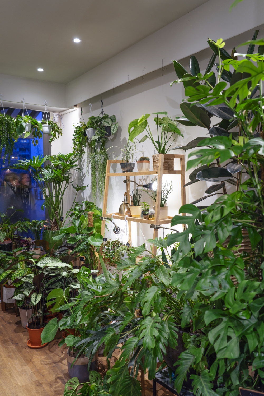 Urban Jungle Bloggers - Little Green Stories plant shop Ghent #urbanjunglebloggers #plantshop