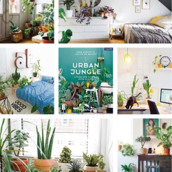 Urban Jungle Bloggers in Living Argentina