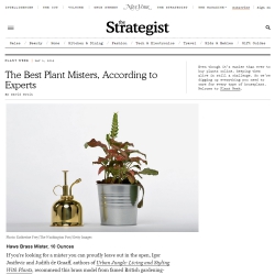 Urban Jungle Bloggers on NY Mag The Strategist