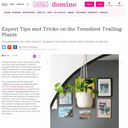 Urban Jungle Bloggers on Domino