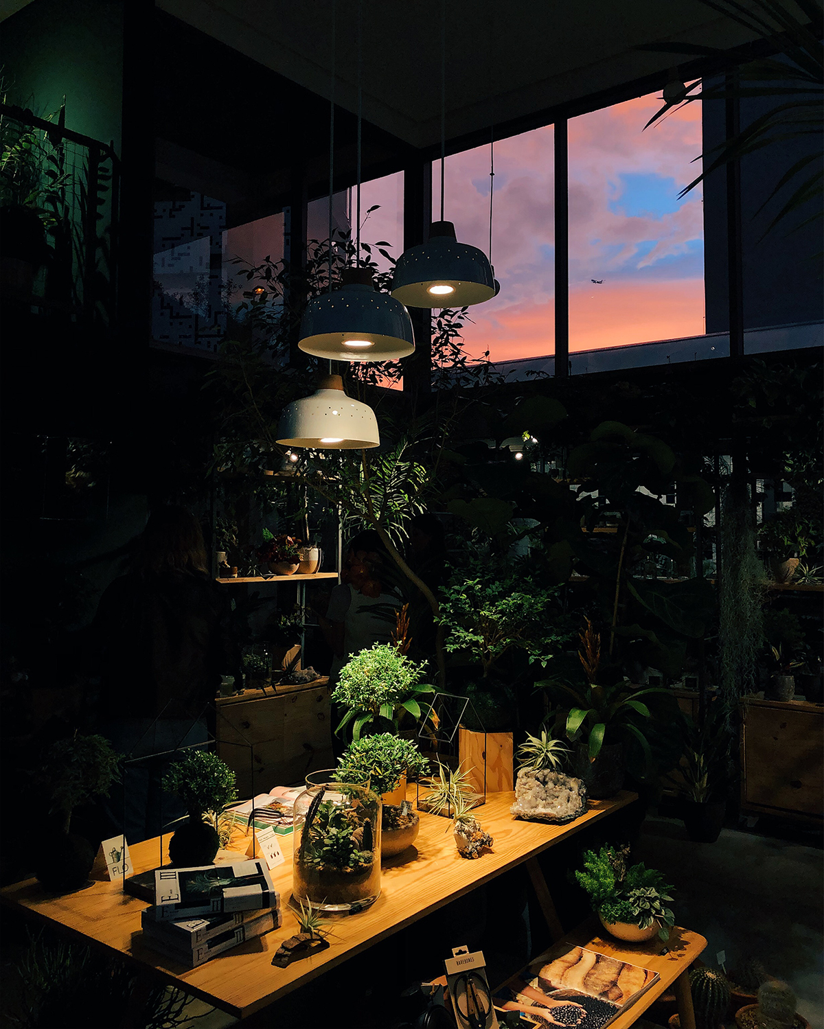 Urban Jungle Bloggers - Flo Atelier Botânico in São Paulo