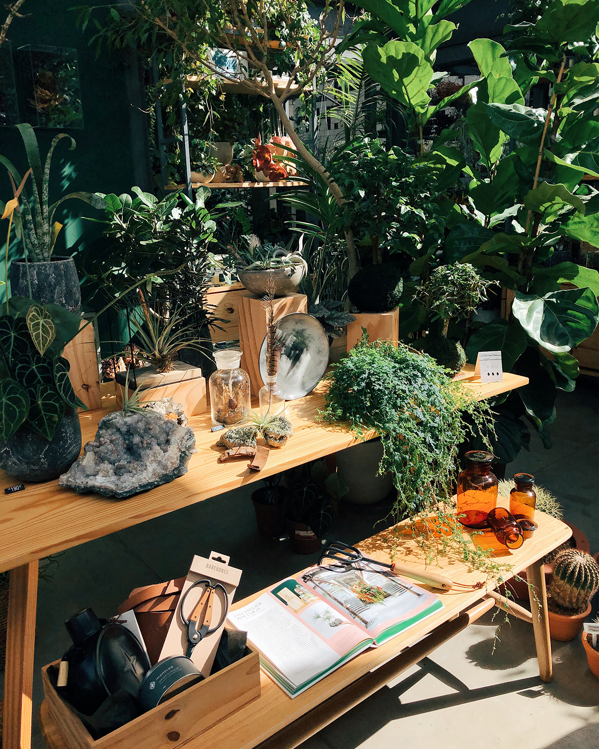 Urban Jungle Bloggers - Flo Atelier Botânico in São Paulo