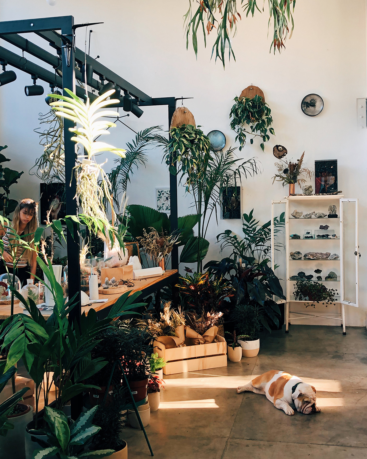 Urban Jungle Bloggers - Flo Atelier Botânico in São Paulo