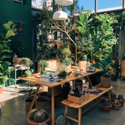 Urban Jungle Bloggers - Flo Atelier Botânico in São Paulo