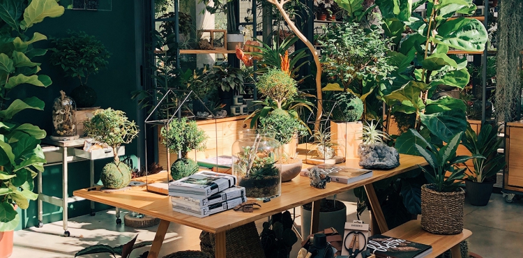 Urban Jungle Bloggers - Flo Atelier Botânico in São Paulo