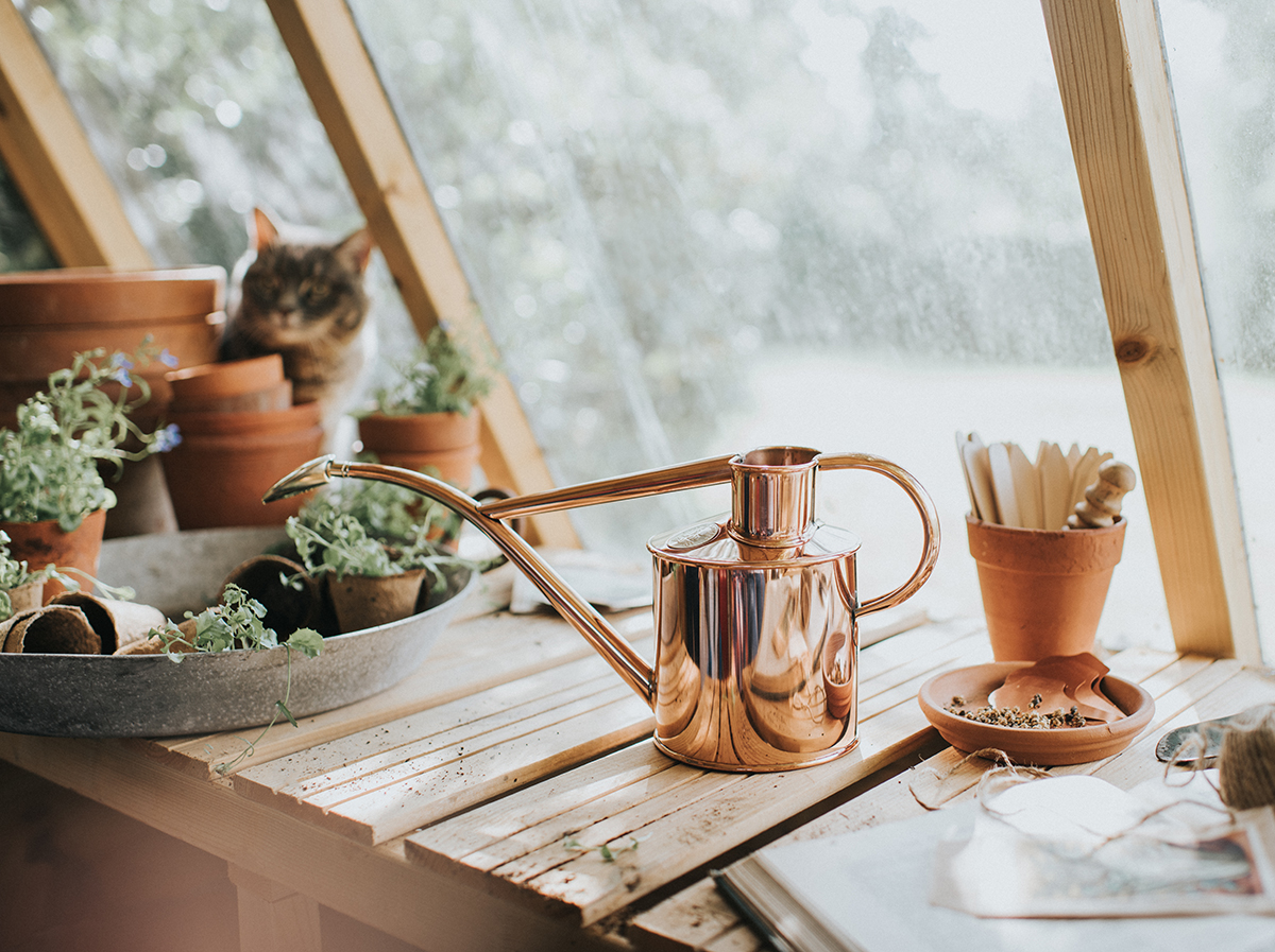 Urban Jungle Bloggers - Green Gift Guide 2019 - Haws Watering can #urbanjunglebloggers