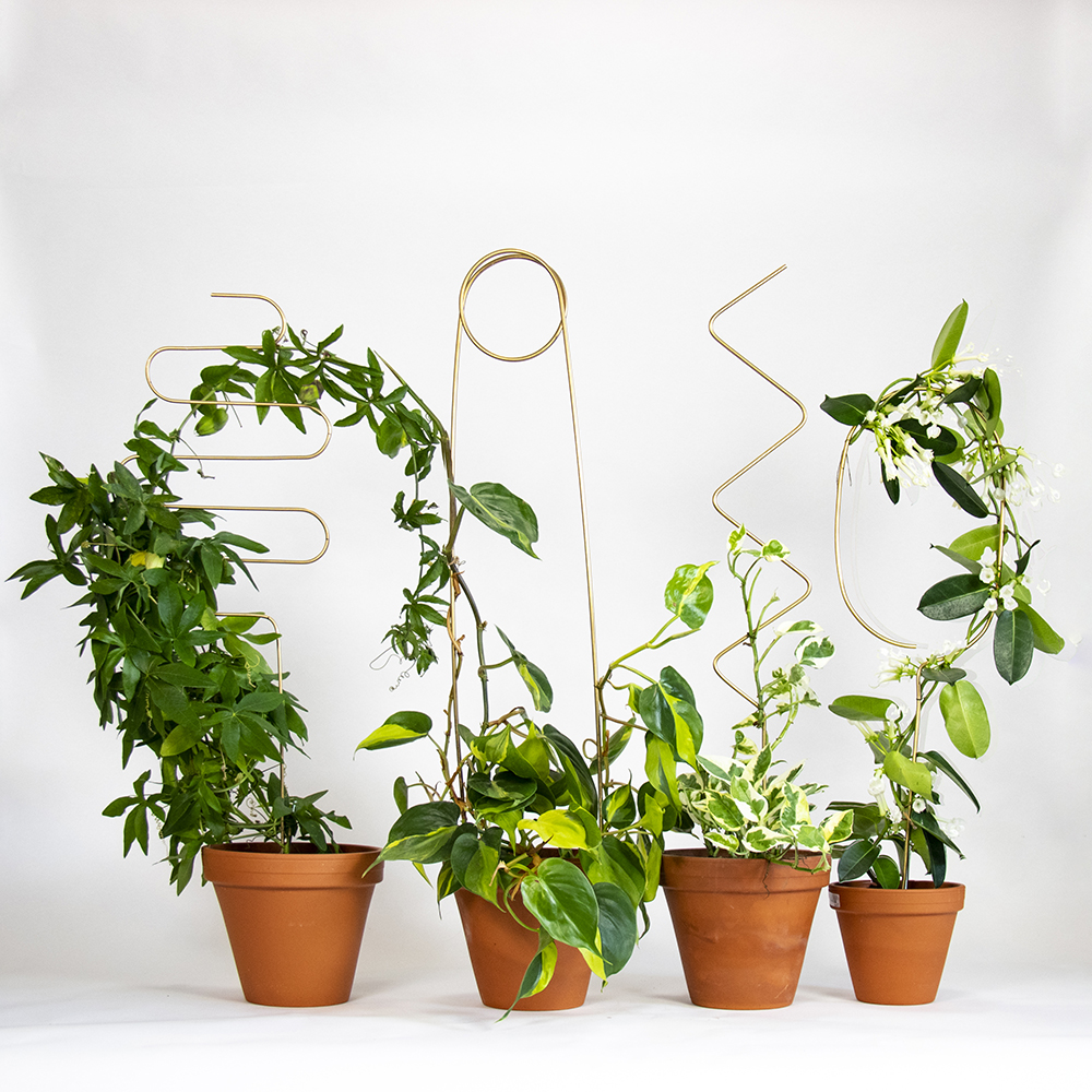 Urban Jungle Bloggers - Green Gift Guide 2019 - Botanopia Plant Stakes #urbanjunglebloggers