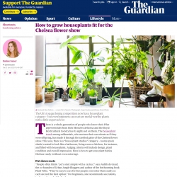 Urban Jungle Bloggers in The Guardian UK