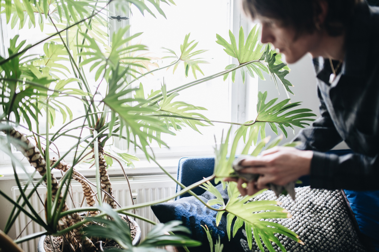 Plant Tribe Living Happily Ever After with Plants by Igor Josifovic and Judith de Graaff