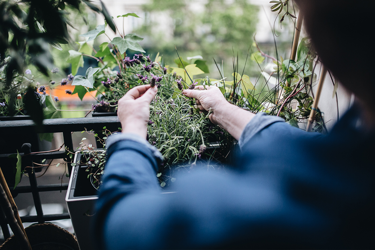 Plant Tribe Living Happily Ever After with Plants by Igor Josifovic and Judith de Graaff