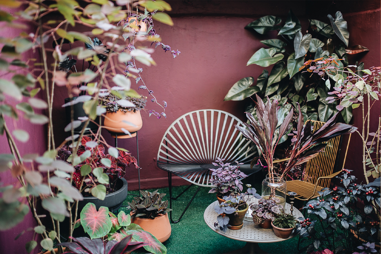 Plant Tribe Living Happily Ever After with Plants by Igor Josifovic and Judith de Graaff