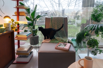 Urban Jungle Bloggers - Design Within Reach Story Planter and Story Shelves