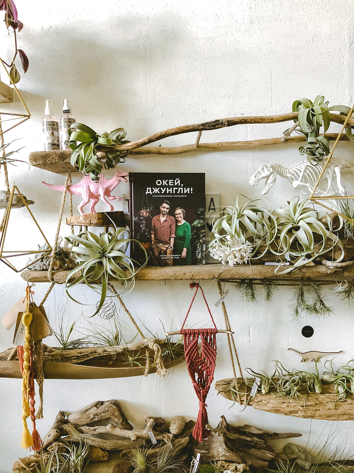 Plant Tribe book in Russian Ok Jungle by Urban Jungle Bloggers