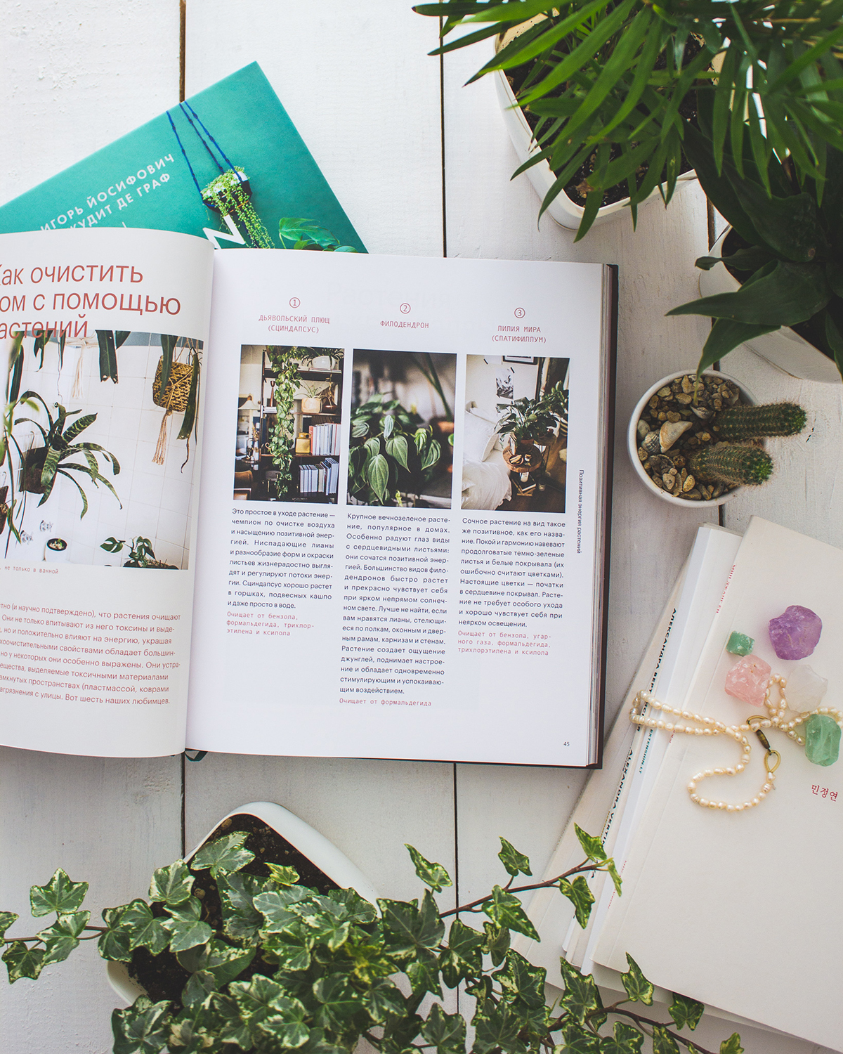 Plant Tribe book in Russian Ok Jungle by Urban Jungle Bloggers