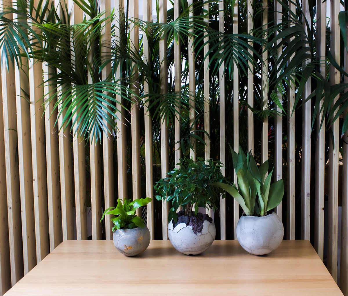 Urban Jungle Bloggers - Dirty Roots Berlin #urbanjunglebloggers