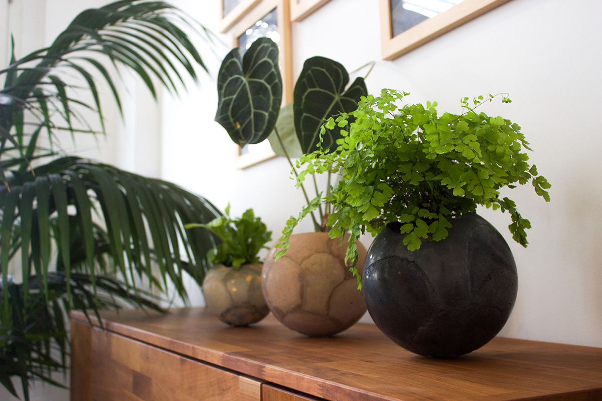 Urban Jungle Bloggers - Dirty Roots Berlin #urbanjunglebloggers