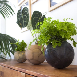 Urban Jungle Bloggers - Dirty Roots Berlin #urbanjunglebloggers