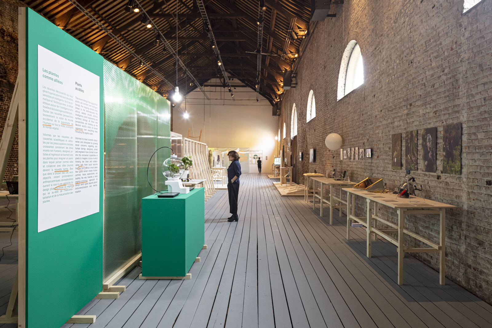 Plant Fever exhibition by studio d-o-t-s CID Grand Hornu Belgium