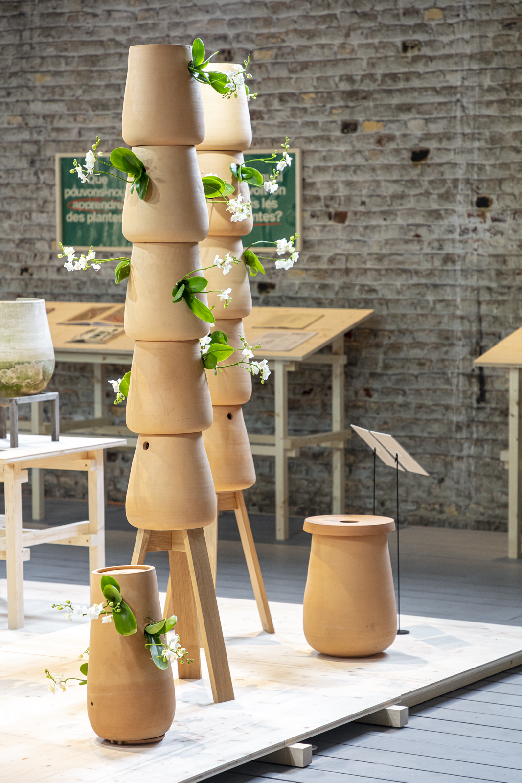 Plant Fever exhibition by studio d-o-t-s CID Grand Hornu Belgium