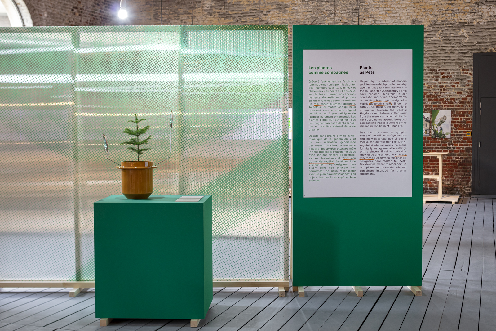 Plant Fever exhibition by studio d-o-t-s CID Grand Hornu Belgium