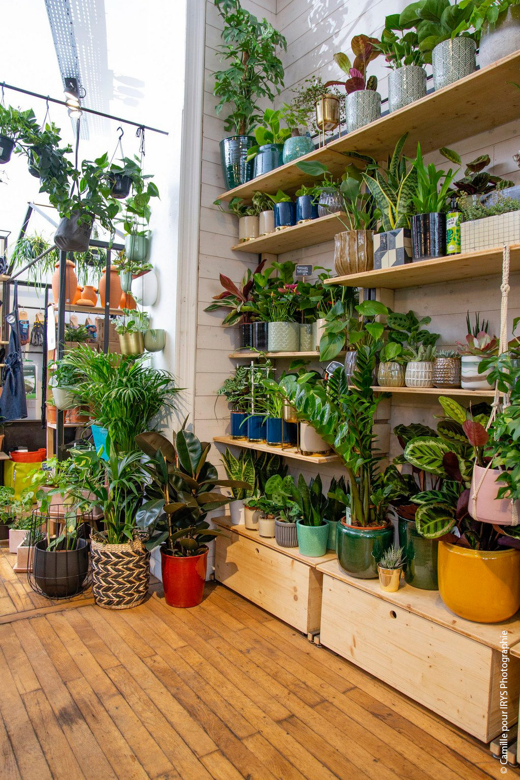 Urban Jungle Bloggers Plant Shopping at Jane Jardinerie Angers Nantes
