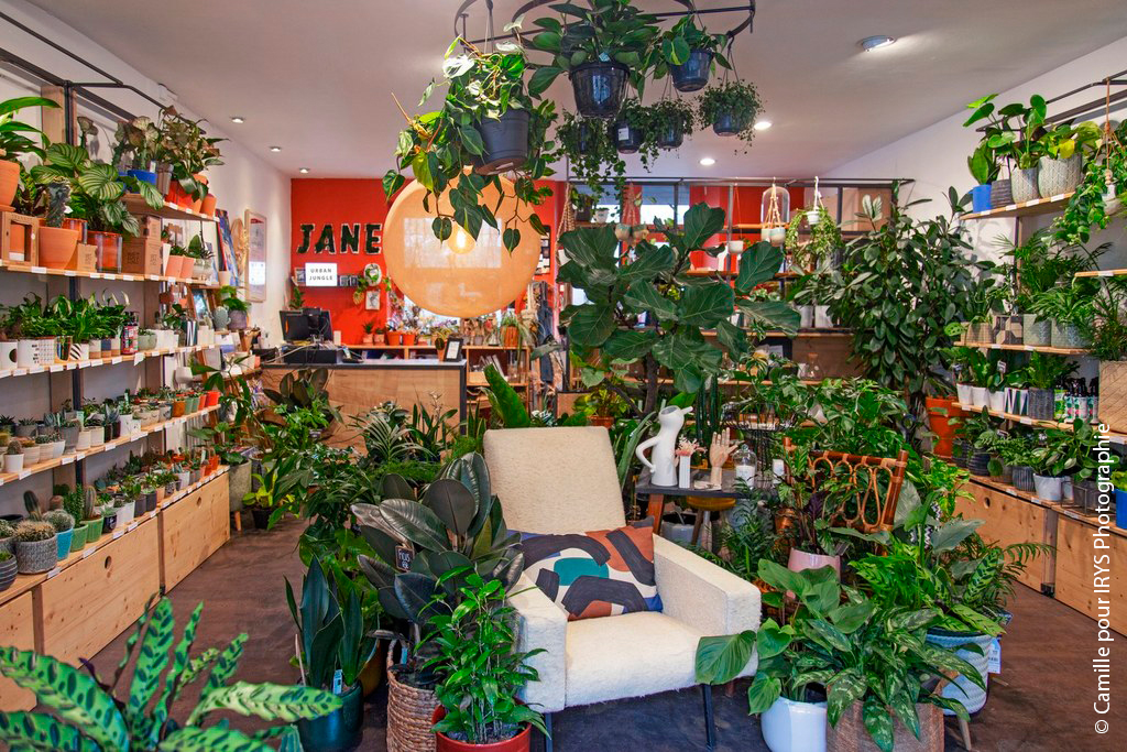 Urban Jungle Bloggers Plant Shopping at Jane Jardinerie Angers Nantes