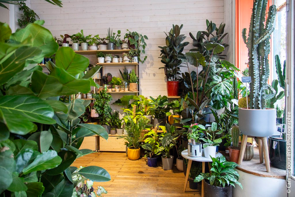 Urban Jungle Bloggers Plant Shopping at Jane Jardinerie Angers Nantes