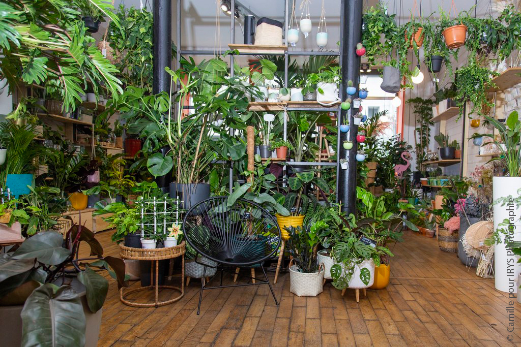 Urban Jungle Bloggers Plant Shopping at Jane Jardinerie Angers Nantes