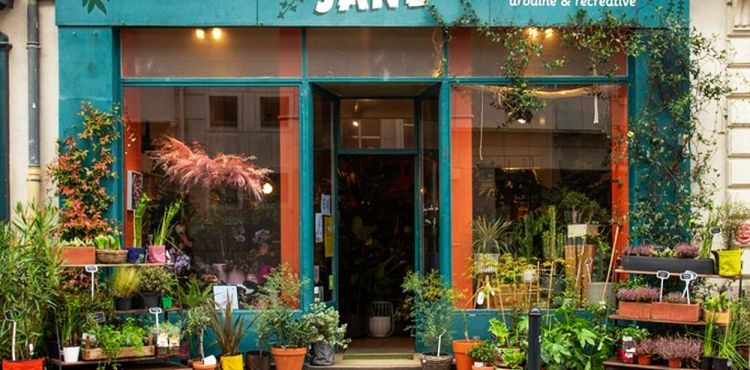 Urban Jungle Bloggers Plant Shopping at Jane Jardinerie Angers Nantes