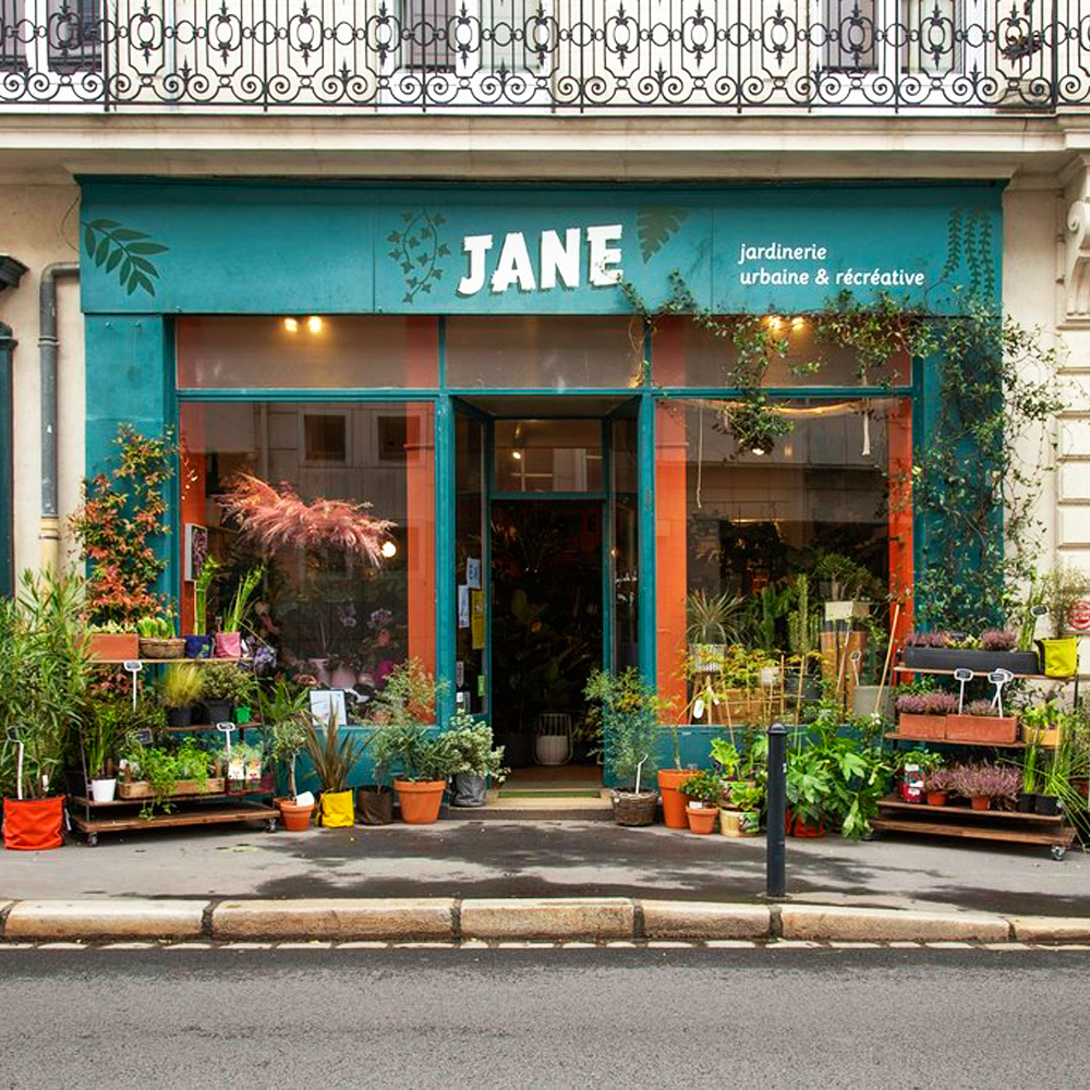 Plant Shopping at Jane Jardinerie