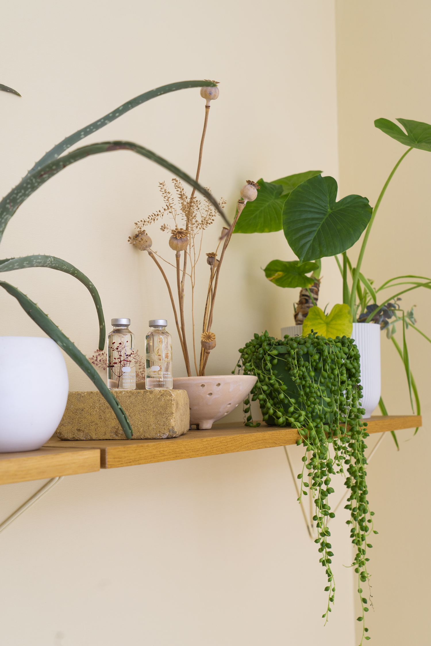 Urban Jungle Bloggers - Slow Pharmacy #urbanjunglebloggers