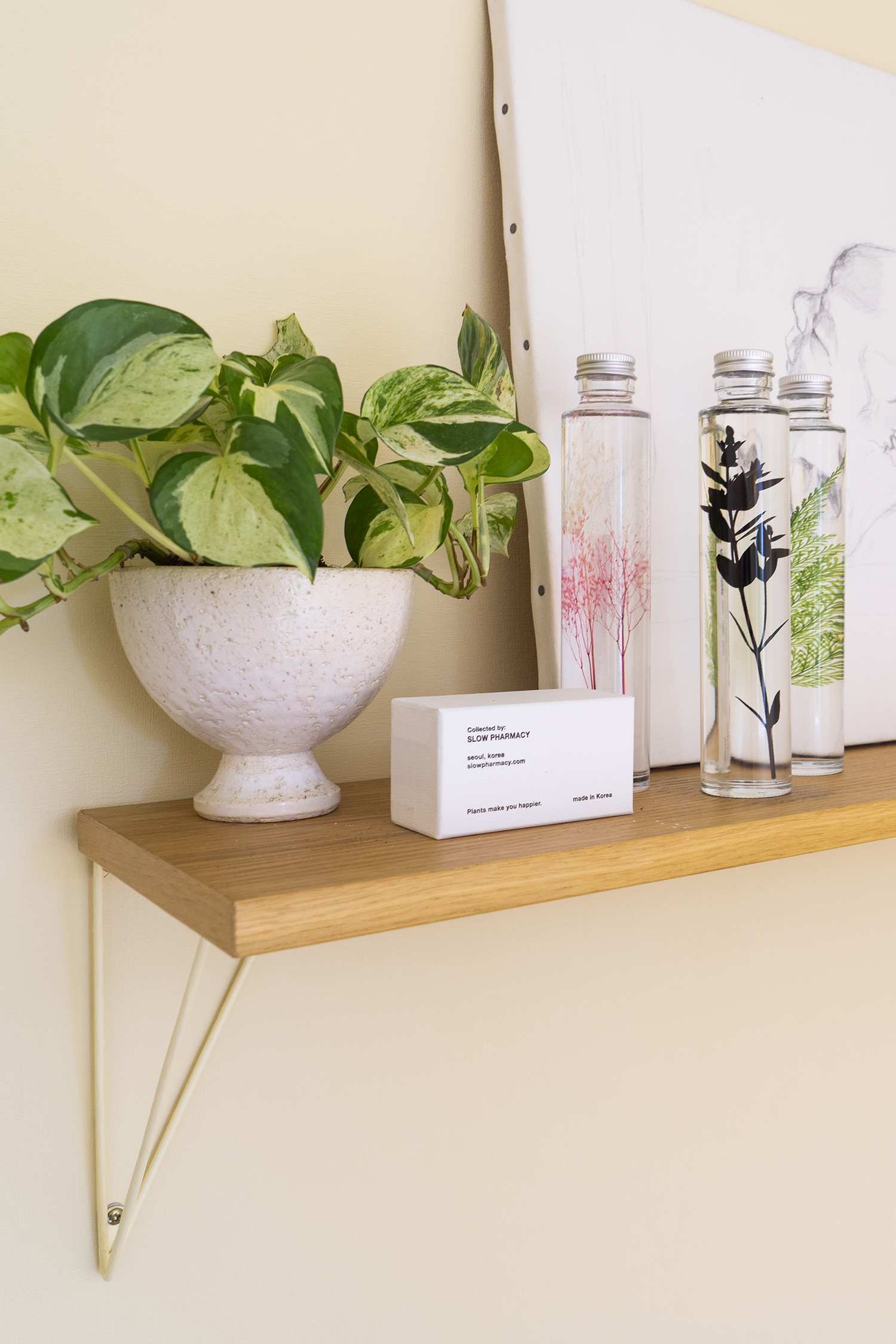 Urban Jungle Bloggers - Slow Pharmacy #urbanjunglebloggers