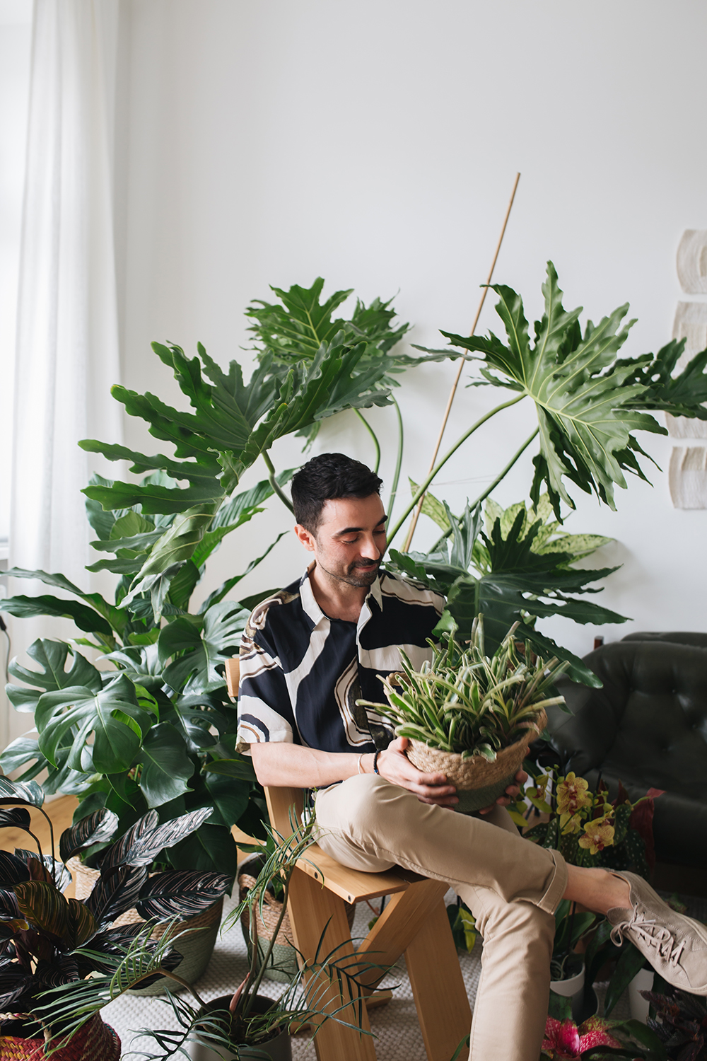 Urban Jungle Bloggers - Houseplant Travel to Brazil #urbanjunglebloggers