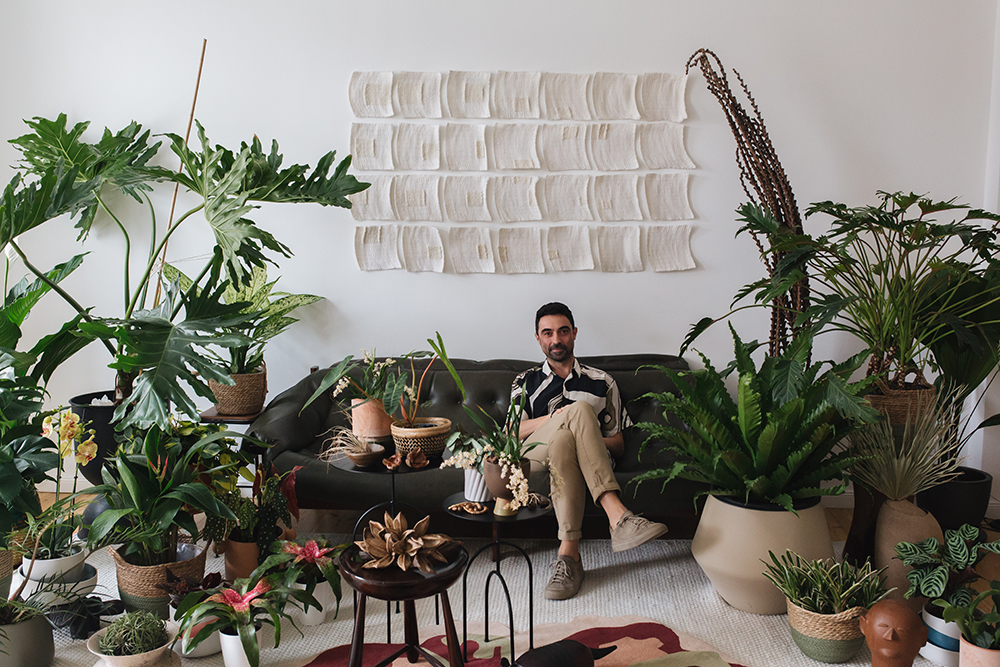 Urban Jungle Bloggers - Houseplant Travel to Brazil #urbanjunglebloggers