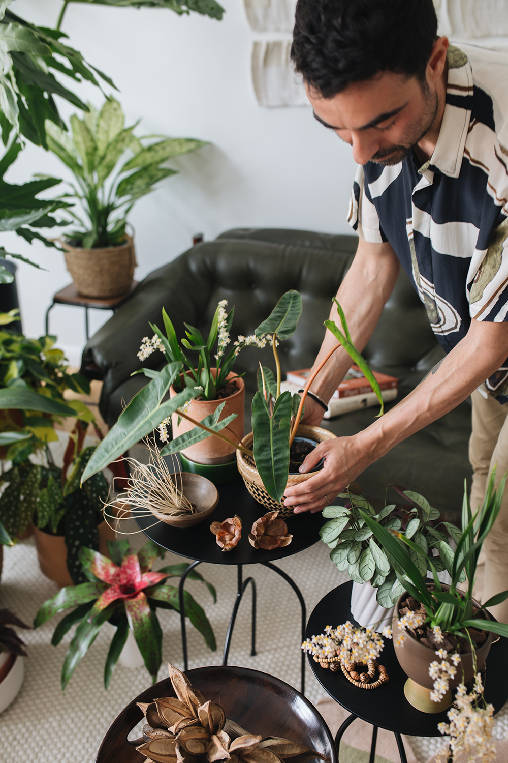 Urban Jungle Bloggers - Houseplant Travel to Brazil #urbanjunglebloggers