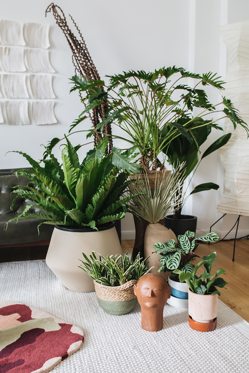 Urban Jungle Bloggers - Houseplant Travel to Brazil #urbanjunglebloggers