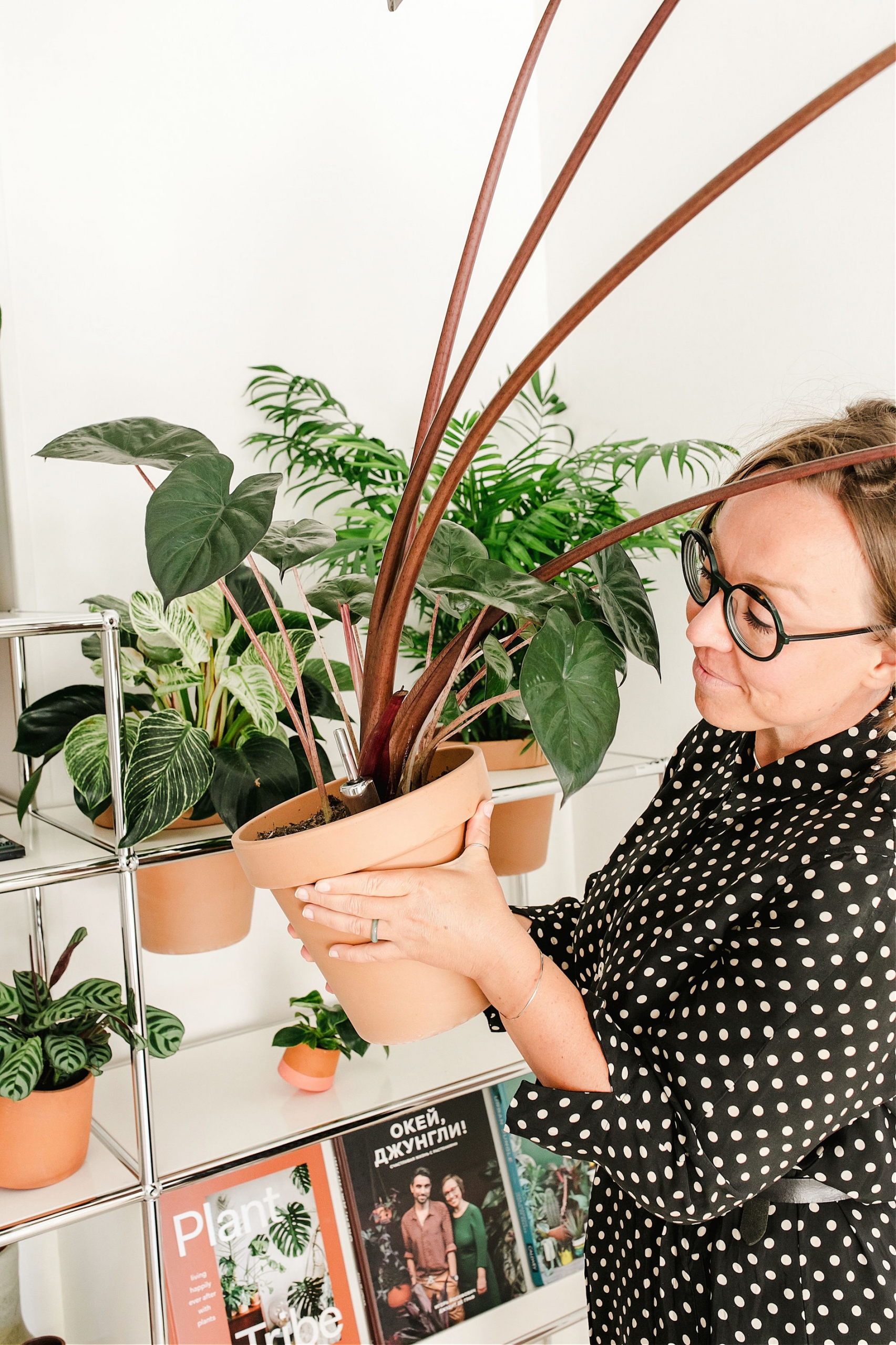 Urban Jungle Bloggers - USM Haller World of plants #urbanjunglebloggers