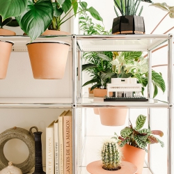 Urban Jungle Bloggers - USM Haller World of plants #urbanjunglebloggers