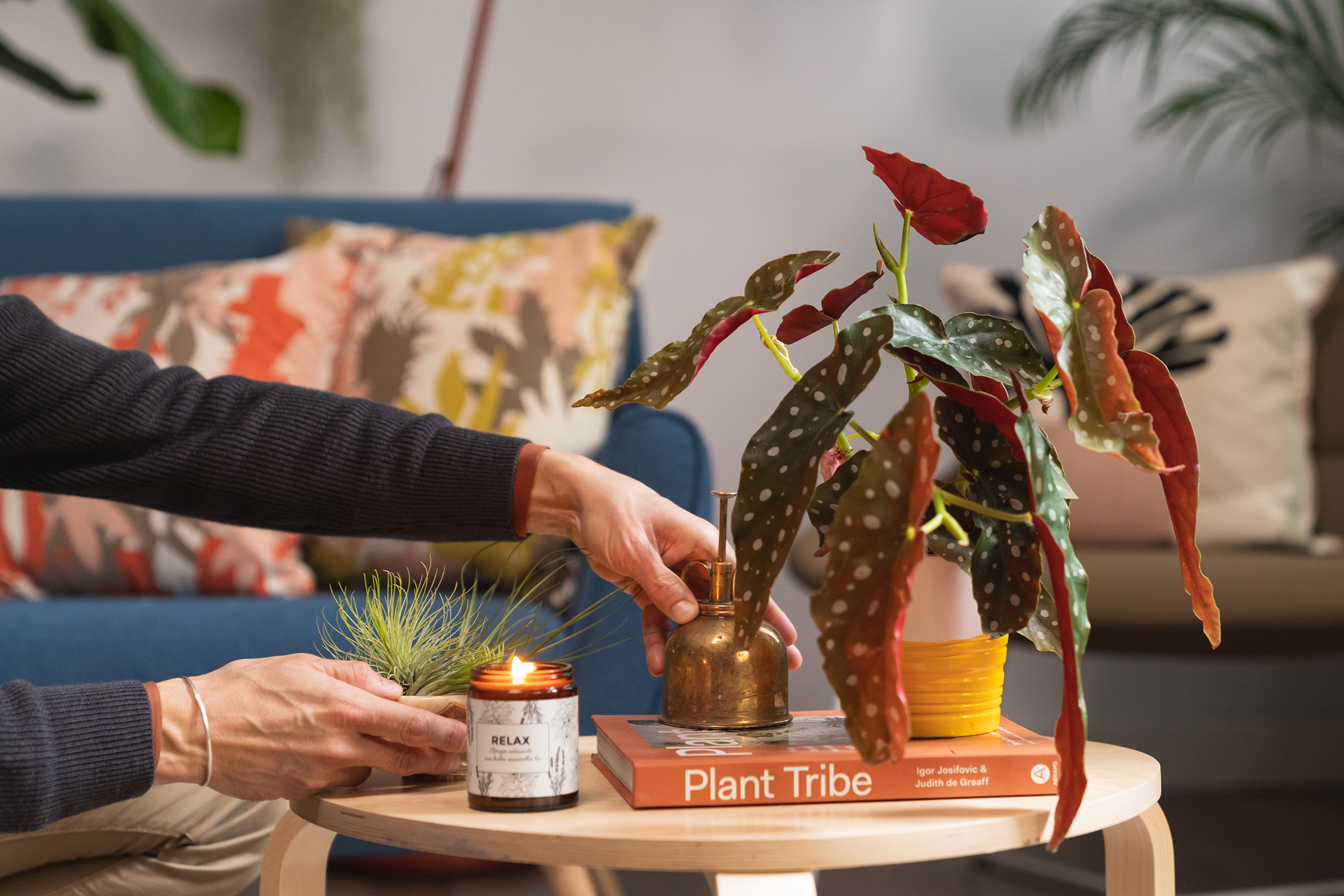 Online course: Home Styling and Decoration with Plants -