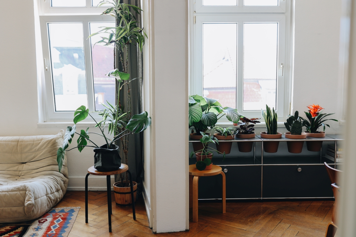 Urban Jungle Bloggers - USM Haller World of plants #urbanjunglebloggers