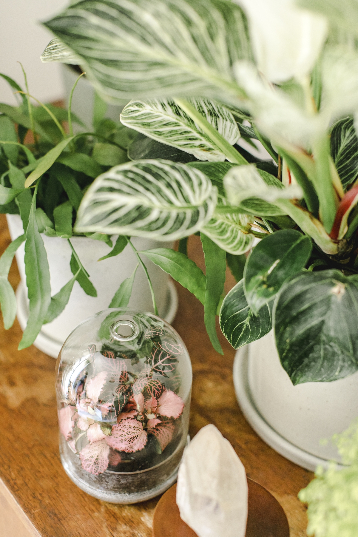 Urban Jungle Bloggers x H&M Home #hmhome #urbanjunglebloggers